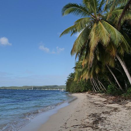 Village Kawann - Toumalacai 246 Grand-Bourg  Bagian luar foto