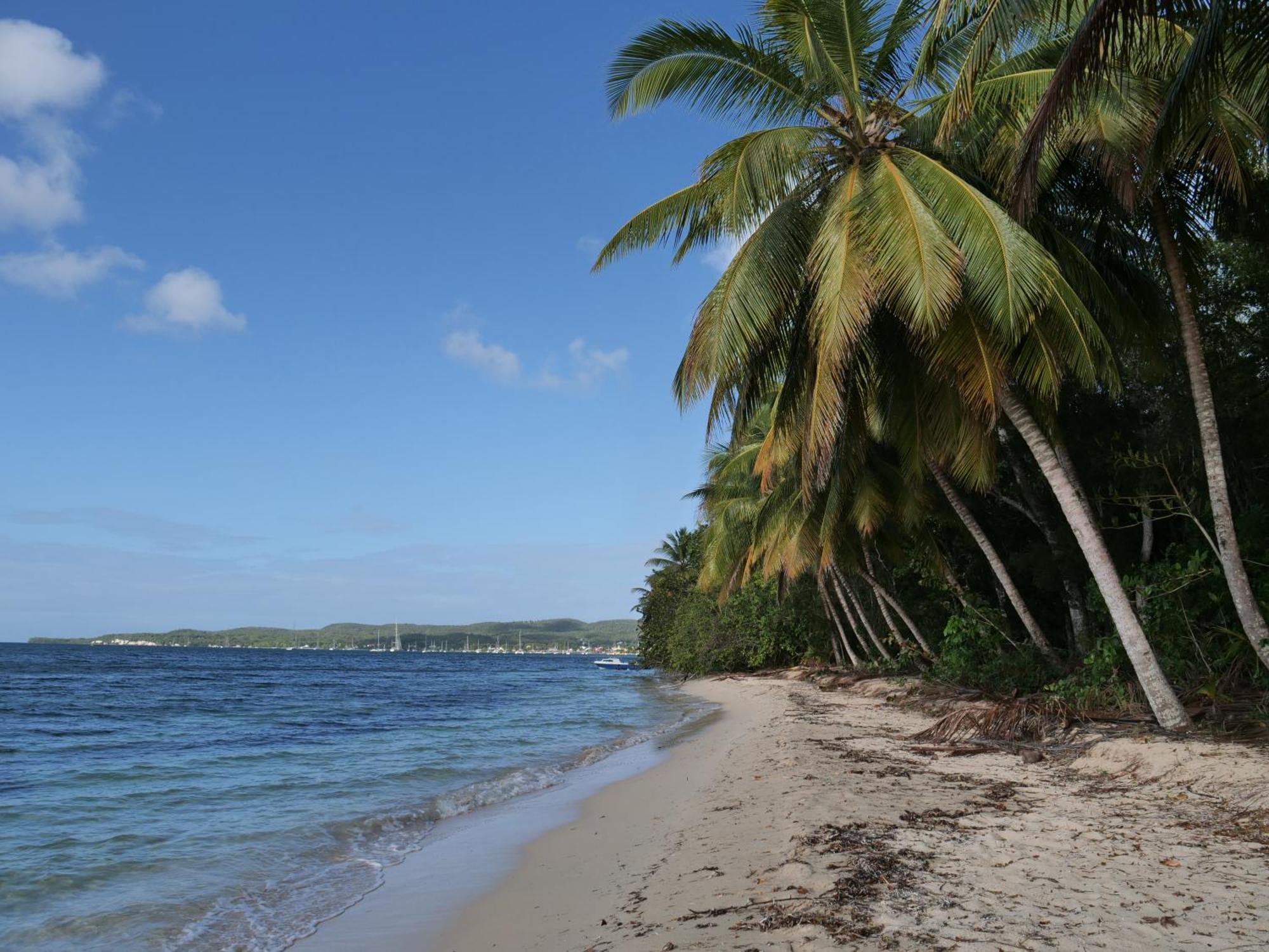Village Kawann - Toumalacai 246 Grand-Bourg  Bagian luar foto